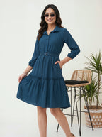 Woman wearing a blue dress with a white background and a plant in the corner